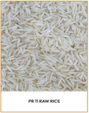 PR 11 Rice