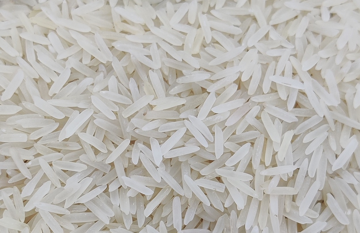1509 Basmati Rice